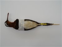 藏品(彩鷸)的圖片